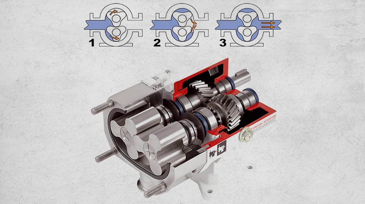 lobe pump guide4