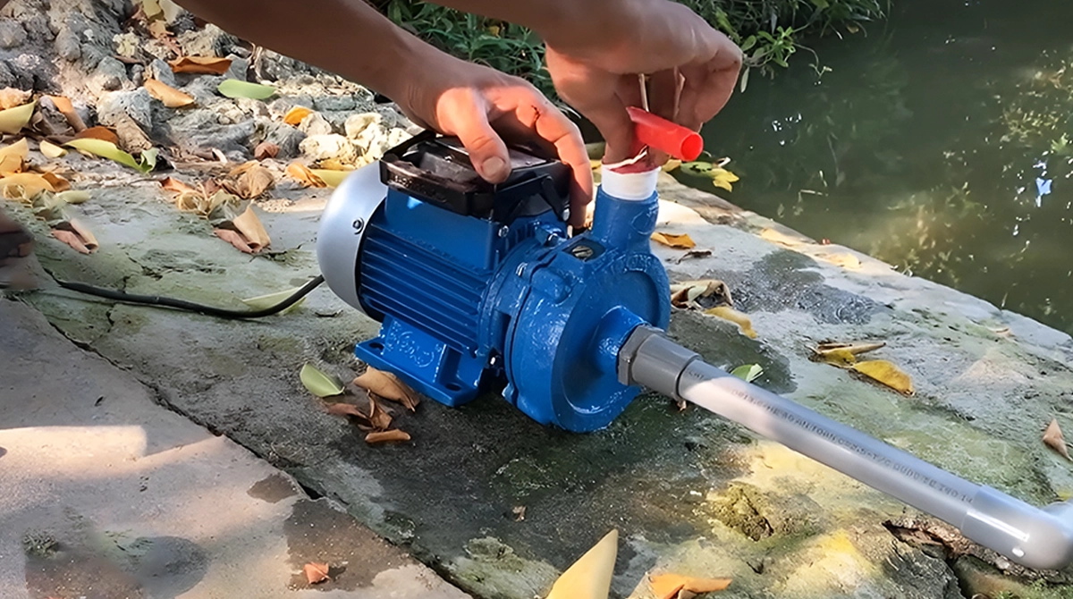 pump maintenance during period of inactivity2