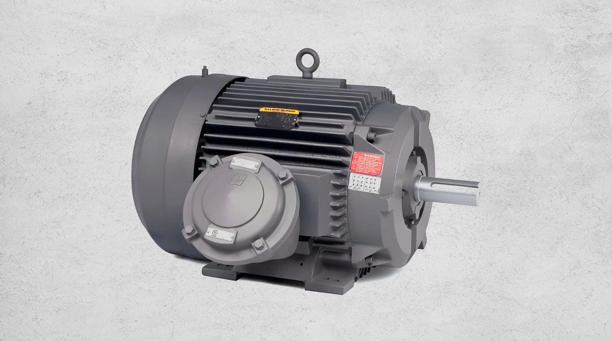 dual speed vs standard electric motor guide2