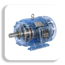 section electromotors